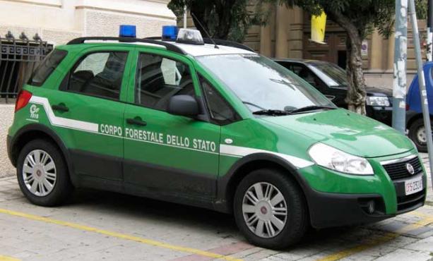 Corpo-Forestale-dello-Stato.jpg