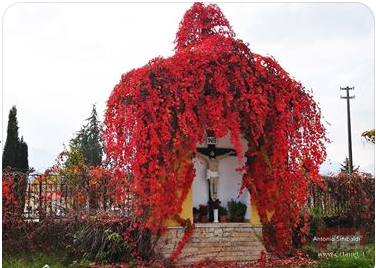 cristo-rosso-Bojano.PNG